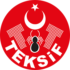 Teksif